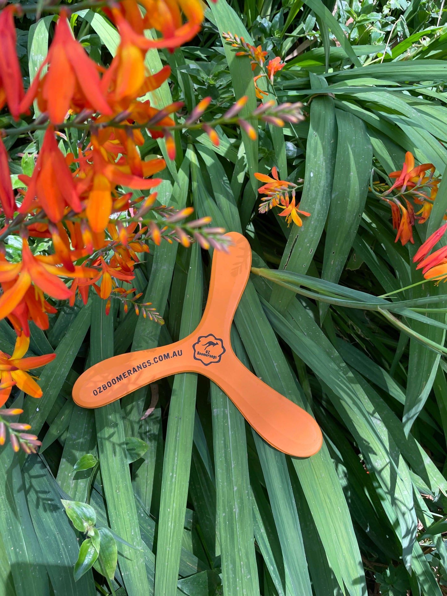 OZzie Emu Orange boomerang with branding on a background of green leaves and orange flowers