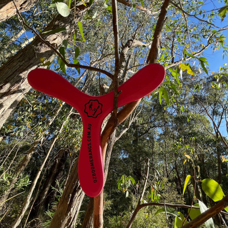 OZzie Emu foam red boomerang attached to a tree branch with a forest background