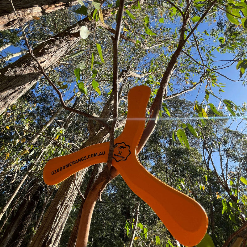 OZzie Izerunner foam Orange boomerang attached to a tree with a clear sky and green foliage in the background