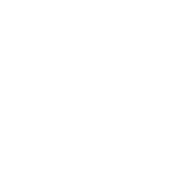 OZ Boomerangs